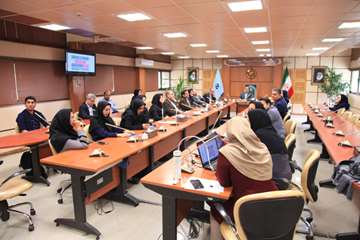 طرح تدوین گزینه های سیاستی حوزه توانبخشی مربوط به افراد دارای ناتوانی جسمی